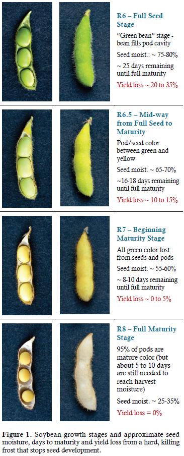 Doran Johnson tweet media