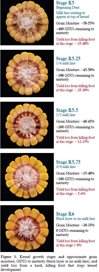 Doran Johnson tweet media