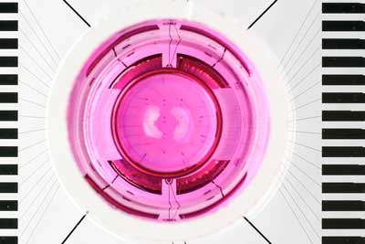 Nanowerk's tweet image. Studying heart cells with nanovolcanoes bit.ly/2jZvk62 #nanomedicine #nanotechnology #nanopatterning