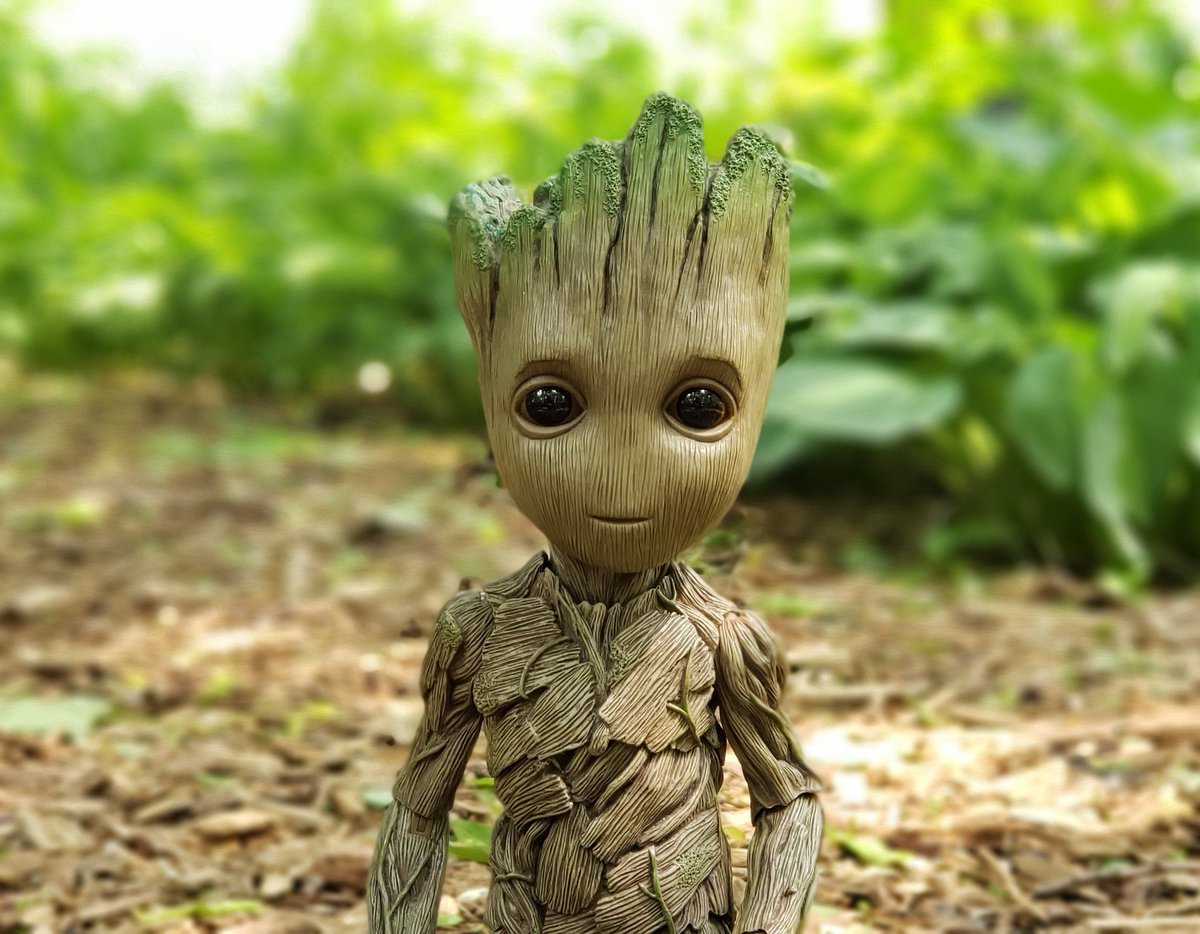 MyBabyGroot's tweet image. I am Groot. 

#SpendTimeWithOthersLikeYou
#GetToKnowYourself

#groot #babygroot #iamgroot  #wearegroot #twig #guardians #guardiansofthegalaxy #guardiansofthegalaxyvol2 #avengersinfinitywar #endgame #avengersendgame #avengers #gotg #gotg2 #marvel #disney #stickpic #instagroot