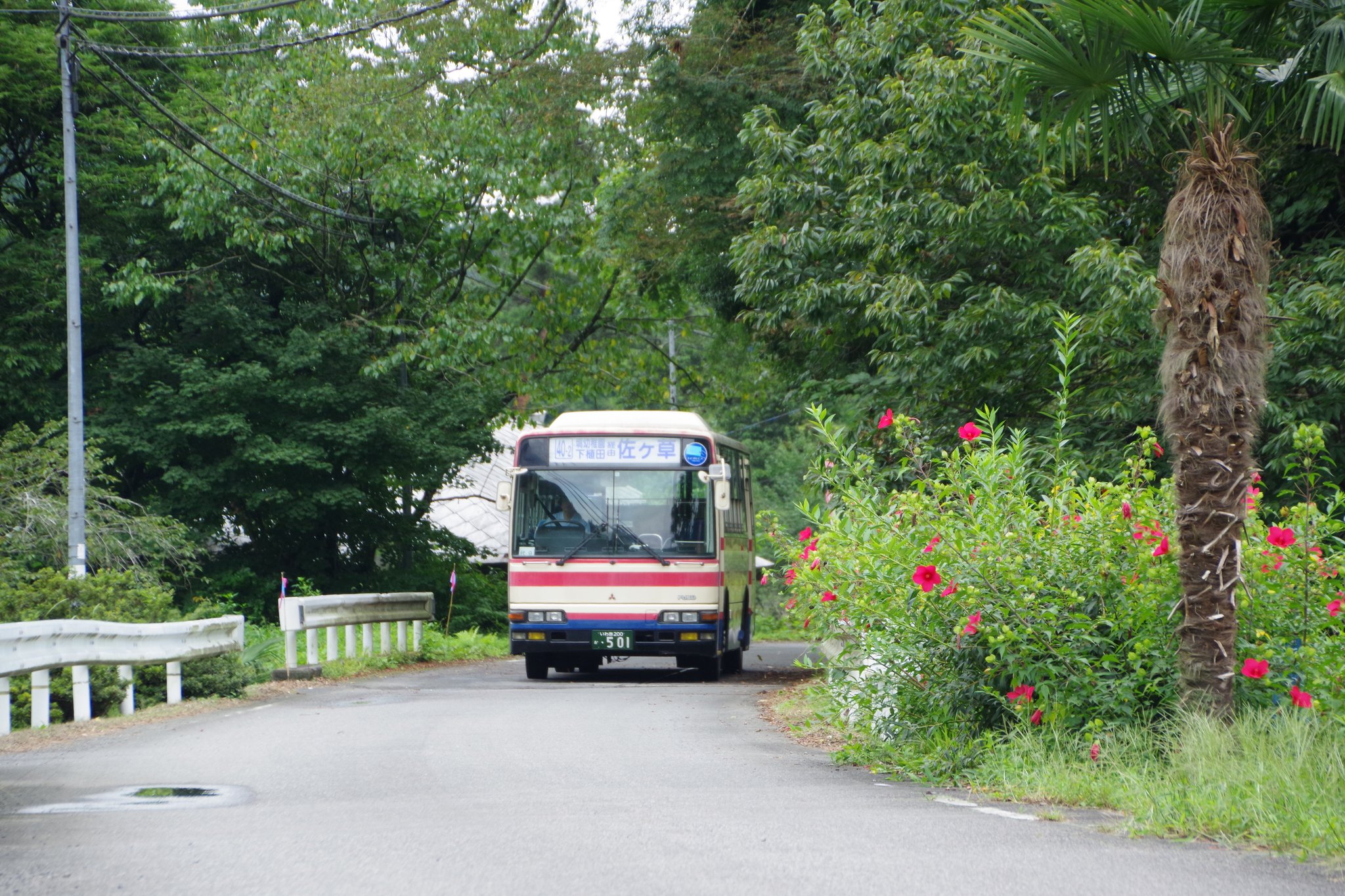 Heromo 鉄模人 線路際蹲人 佐ヶ草に幕車 エアロミディ 501 9 4 福島交通 今日は代休だったのでフラフラと水郡北線方面へ 八槻ルートを走ってたら佐ヶ草行バスが Uターンして バスが下植田や松野口に寄り道してくる間に佐ヶ草バス停に先着しました Heromo 鉄模人 線路際蹲人 佐ヶ草に幕車 エアロミディ 501 9 4 福島交通 今日は代休だったのでフラフラと水郡北線方面へ 八槻ルートを走ってたら佐ヶ草行バスが Uターンして バスが下植田や松野口に寄り道してくる間に佐ヶ草バス停に先着しました