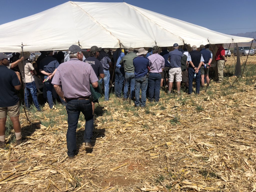NoTillBill's tweet photo. Wonderful field visit at #notillconference the earthworm scientist has become more accomodating of the idea that fertilisers & herbicides are not all bad https://t.co/XLhlvJLw9y