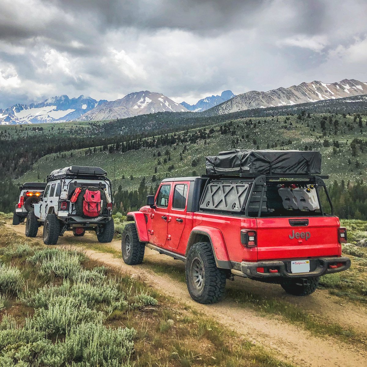 Trail friends are the best friends. 📸: Marco H.