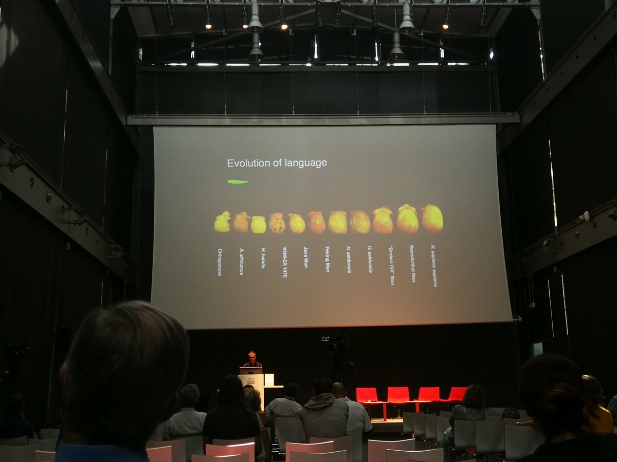 Silvia Marchesotti On Twitter Klaus Zuberbuhler From