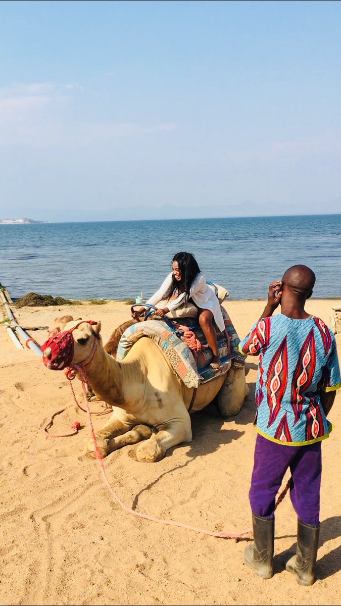 ladii_naa's tweet image. Been wanting to ride these camels for so long #summer19
