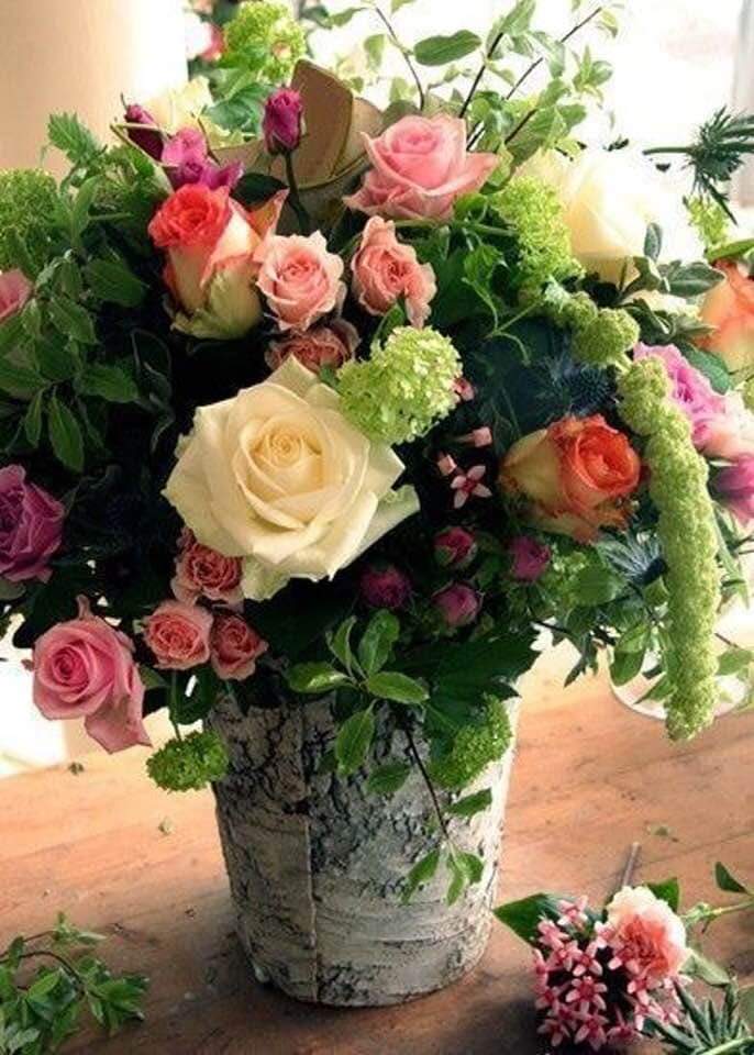 Dobar dan💞🌸💞Good afternoon