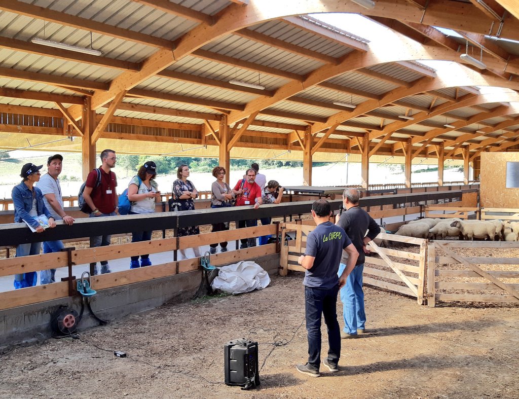 Anne-Charlotte Dockès tweet media