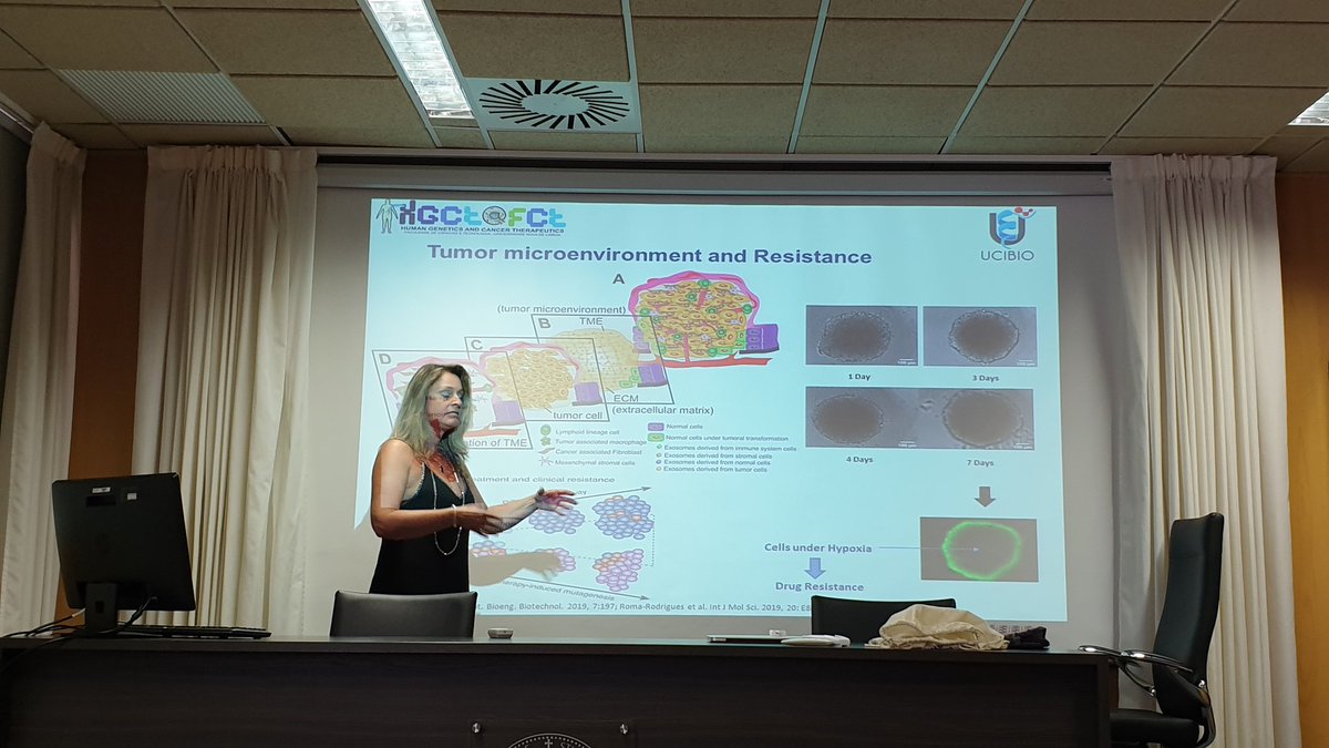 MagicCellGene's tweet photo. The following days we will celebrate the 4th #MagicCellGene project meeting. But before we start, Dr. Alexandra Fernandes and Dr. Pedro Baptista are presenting some of their work in the @ICMA_Aragon seminars. Starting with Alexandra! https://t.co/AcOMvhe1nA