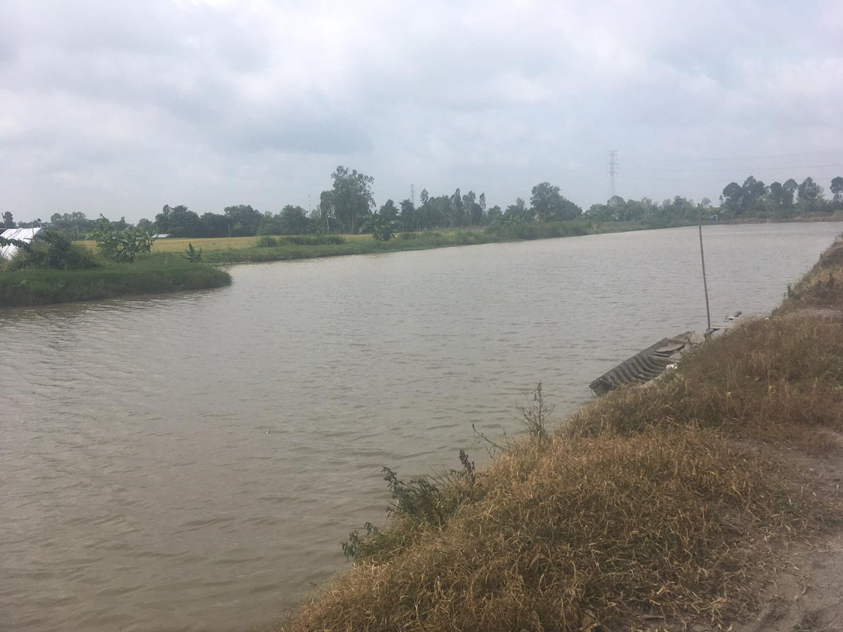 The project is up and running. Well done to all involved!