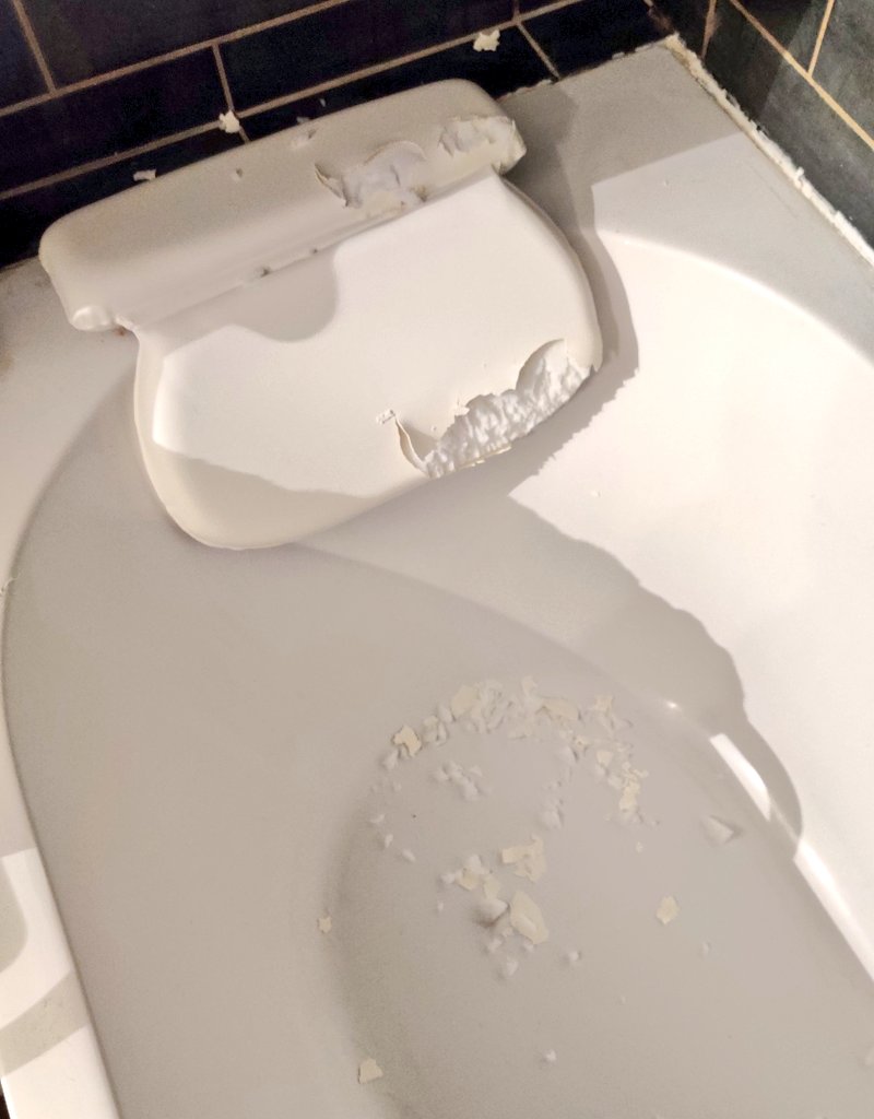 terracid's tweet photo. moi: Je vais prendre un oreiller de baignoire, ça à l'air grave agréable
mon chat: https://t.co/uO3ZQgIhrR