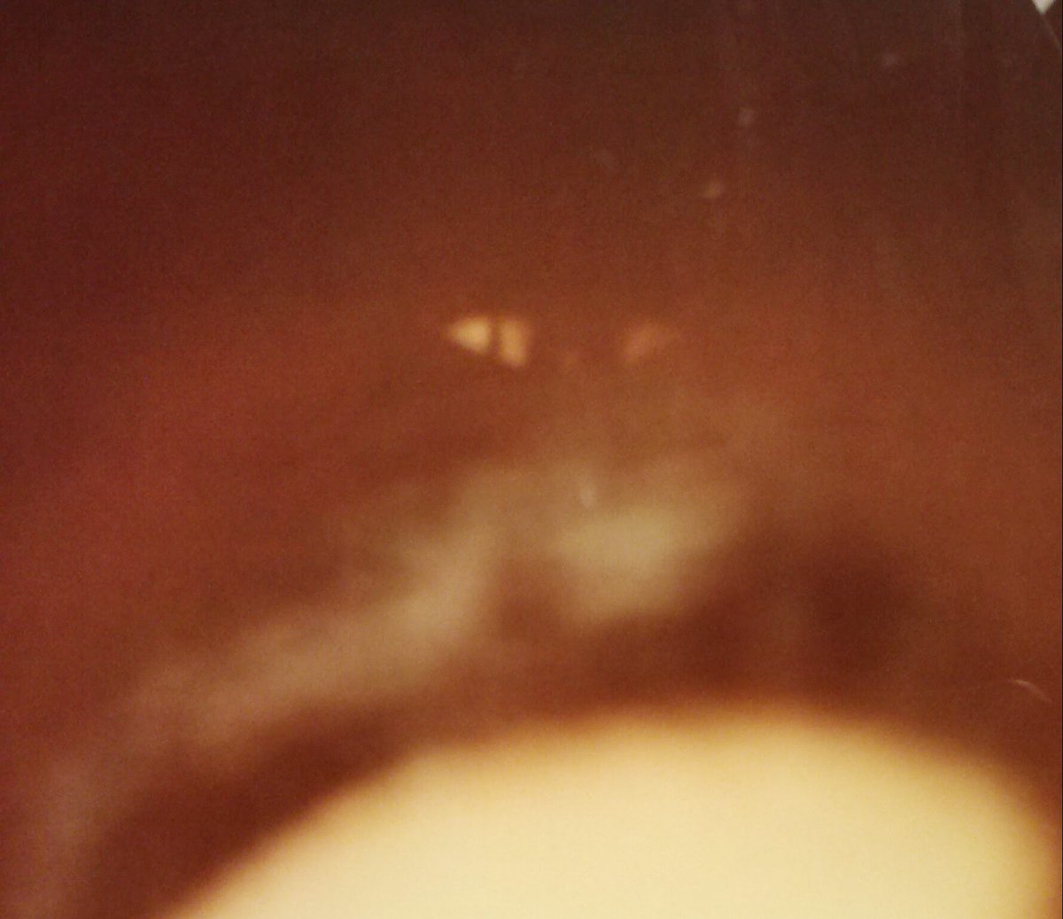 BillPMurphy's tweet photo. @SarahLLIFS In front of nearly 75 witnesses, with a cardboard roll provided by an audience member as the gizmo, we snapped this Polaroid with what looks like cat eyes in top of his head. This person guessed correctly the image sealed in an envelope tucked in a leather case. #thoughtograph https://t.co/Wq5z5n3lK5