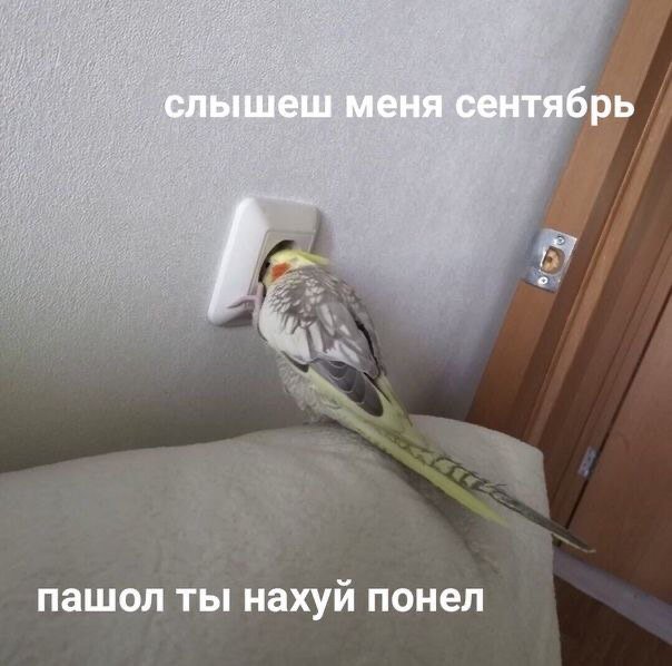 EDnJWLSX4AU0HMh?format=jpg&name=small