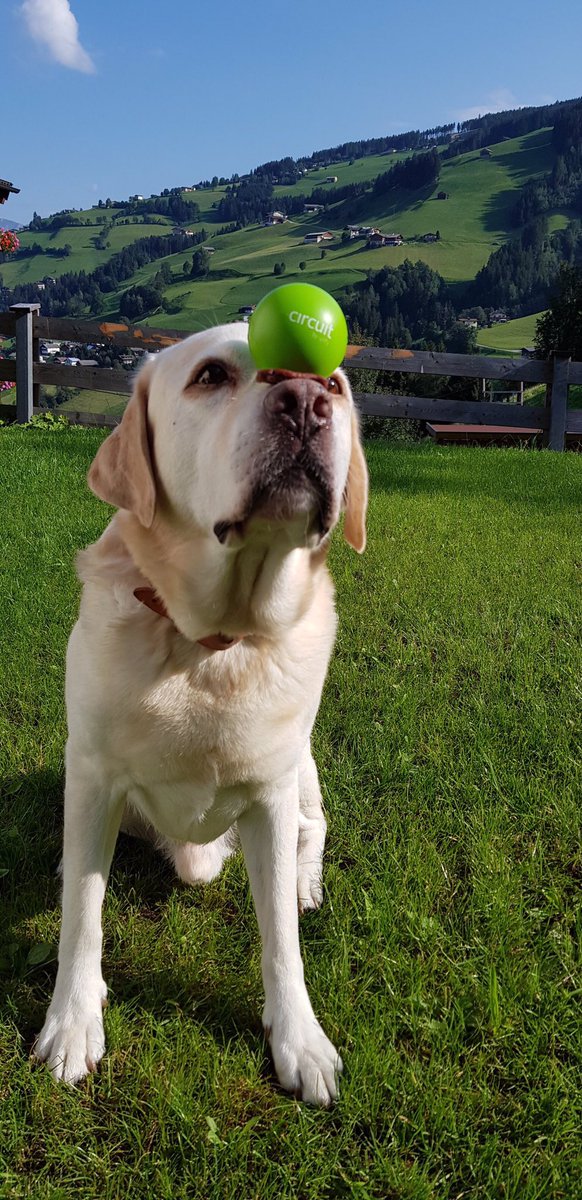 Kommunikation ist die Jonglage von Informationen.
Viele Grüße an <a href="/PvonPempelfort/">Petrus von Pempelfort</a> 
#WorkLifeBalance