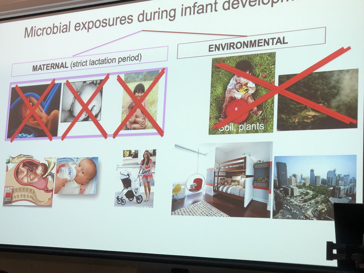 MRC_microbiome's tweet photo. Professor Maria Gloria Dominguez-Bello presenting in our #MRCmasterclass on the Microbiome effects of different birthing practices. Incredible research in progress here which will light the way for the new direction of #obgyn and #microbiomeresearch https://t.co/8RZ0NL34kO