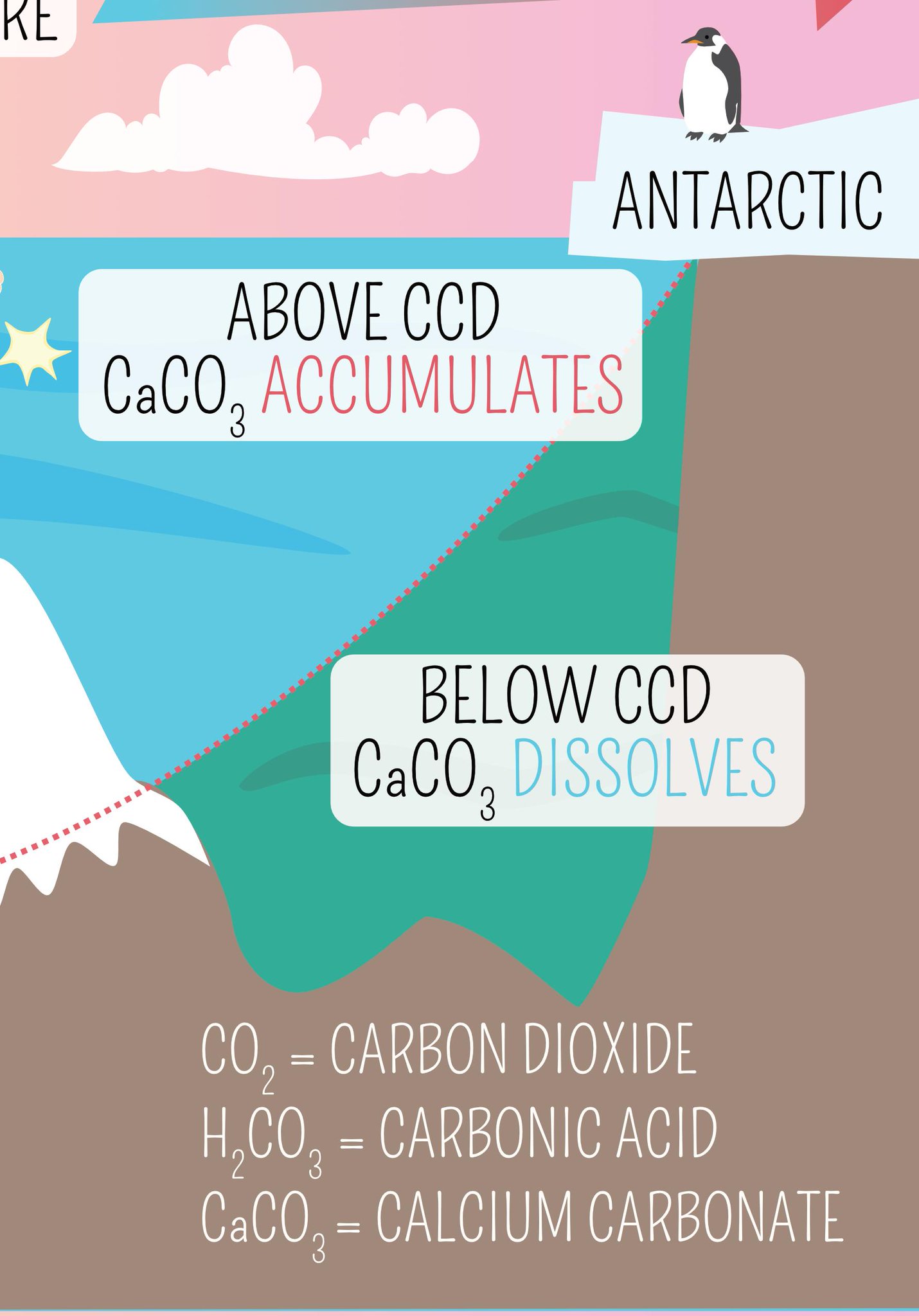 The Geological Society on Twitter "Carbonate is used by ocean