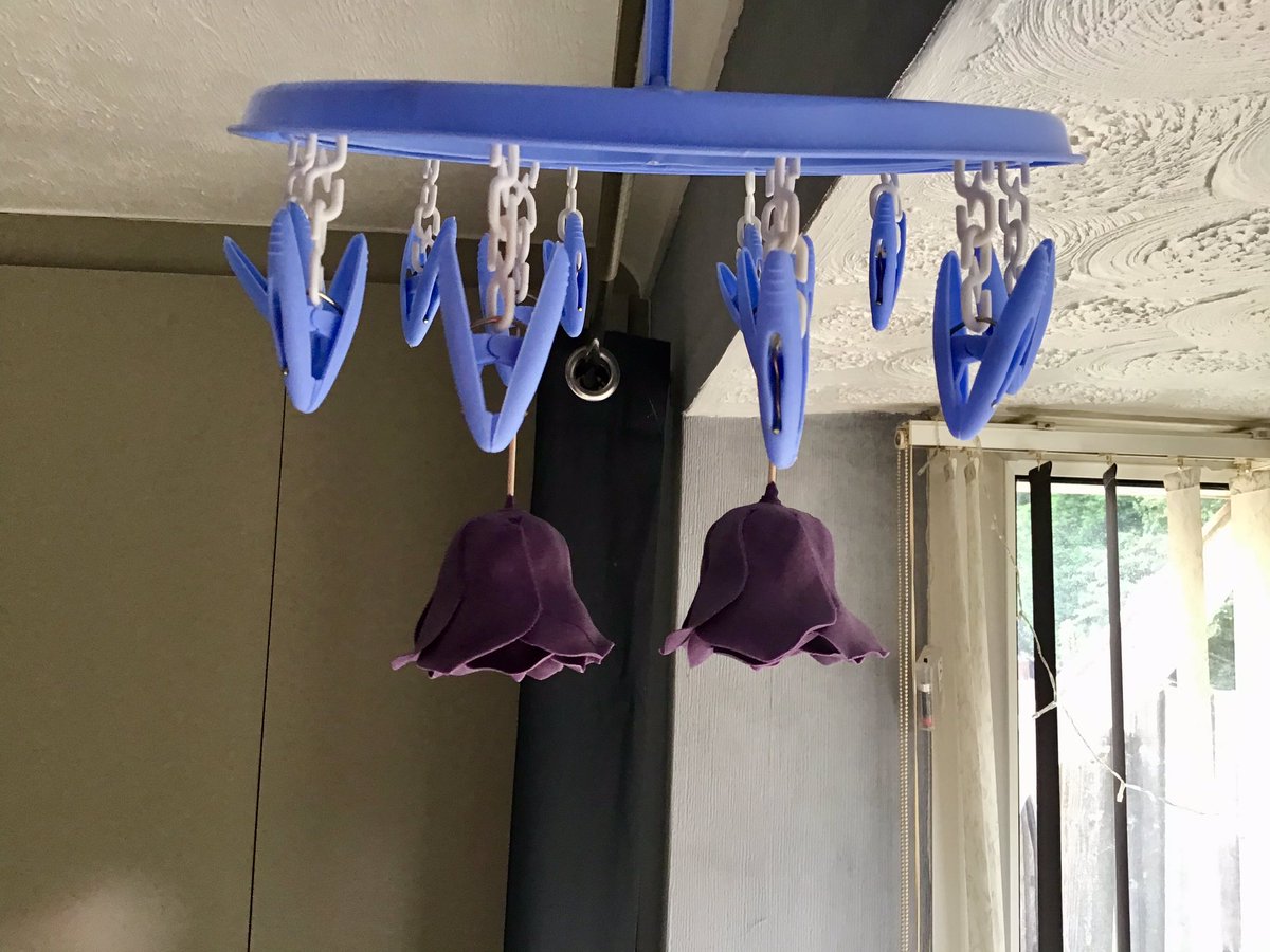 jules0455's tweet image. Just call me genius 🤣🤣🤣perfect for hanging flowers to dry
