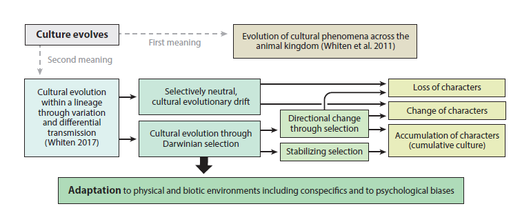 fluctuation mechanism and control on system