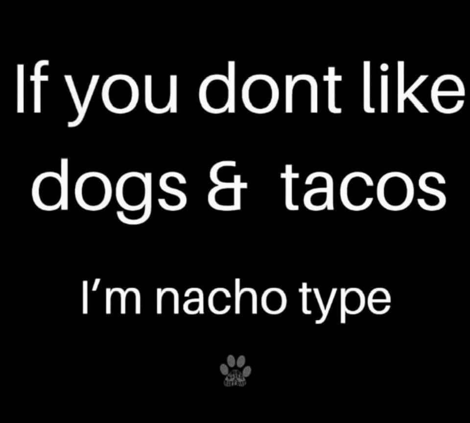 WoofMagazineNE's tweet photo. Just being honest -
We’re having fun over here —->@WoofMagazineofficial
#WoofWorthy #WoofMagazineNE #Pets #ProjectPawsitive #ilovemydog #doglover #love #shelterdog #dogsrule https://t.co/oHCmj3w3de