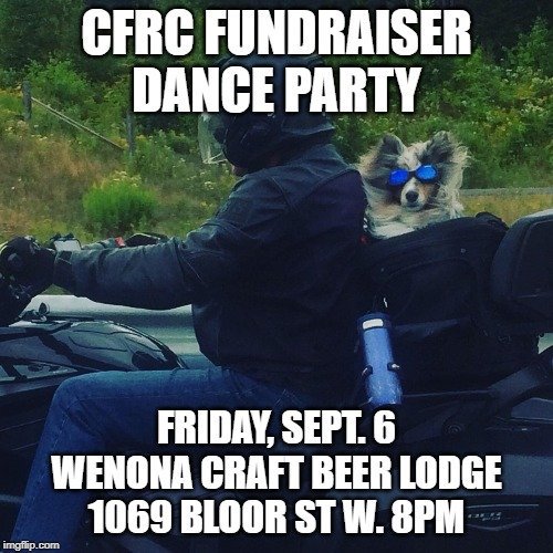 CFRC's tweet photo. Toronto peeps!  Looking for something fun to do Friday night!?  Head over to the Wenona Craft Beer Lodge for a DJ dance party with tunes spun by CFRC alum DJ LK, DJ PS, and Alison Lang!  deets: https://t.co/bm7aRCD3sb @wenonalodge https://t.co/y0D3EK4UD3