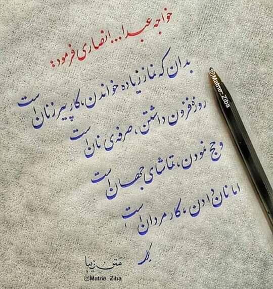 Mahmoodrahmani (@Mahmood47418081) / X