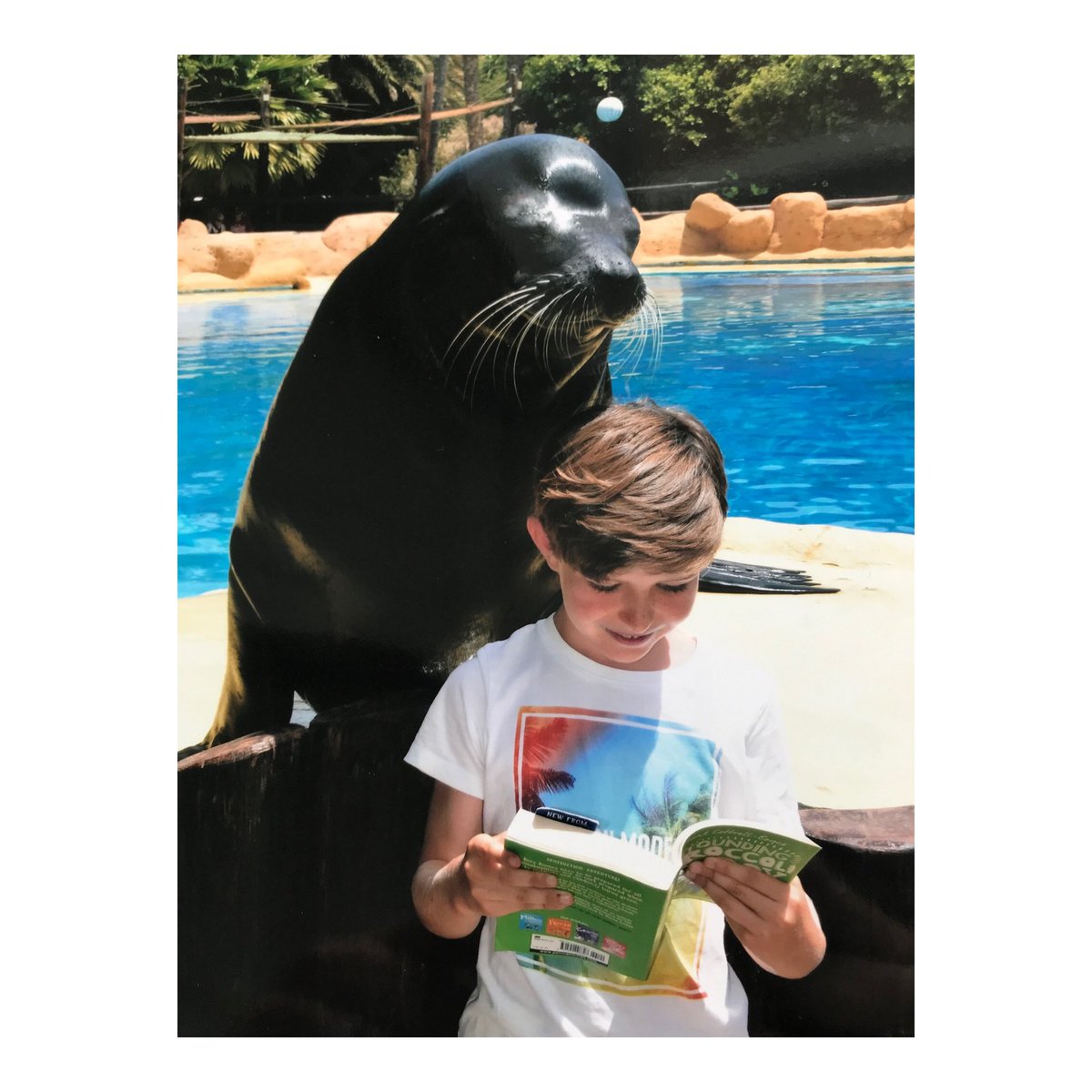 CaldicottSchool's tweet photo. Yesterday we had cows taking part in our #SummerLibraryChallenge, today we have a seal getting in on the action...
#CaldicottExtremeReading
School may be starting this week, but there is still time to enter. Email your photos to Ma'am Elson or drop us a DM. https://t.co/IgpoPVv3cH