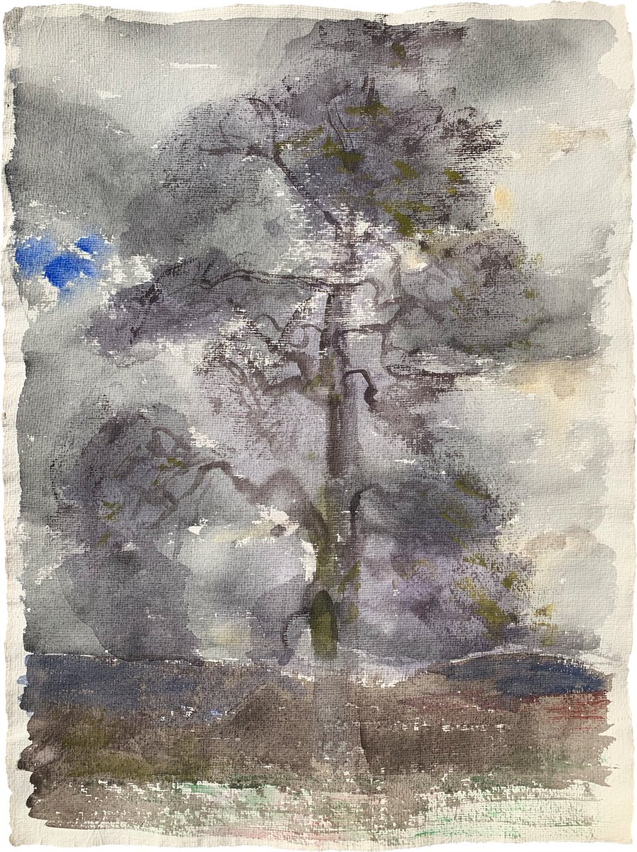 V Tišnově na krajinářském plenéru jsme s naším ateliérem na AVU vnutili až na zahradu Ranných. Dělal jsem akvarel jejich stoleté hrušně. Michal ji měl určitě nastudovanou.