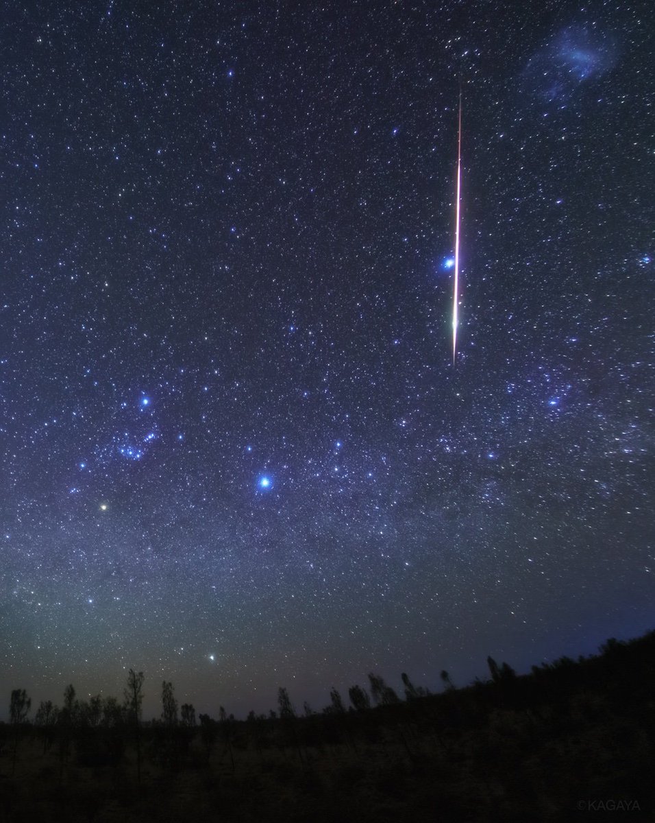 Kagaya Twitter પર 特大の流れ星 火球 を撮影することができました 火球がかすめる明るい星はカノープス 写真中央やや左下の明るい星はシリウスです 夜空に輝く恒星のうち最も明るい二つの星がこのシリウスとカノープスですが それよりもはるかに明るい流れ星 Kagaya Twitter પર 特大の流れ星 火球 を撮影することができました 火球がかすめる明るい星はカノープス 写真中央やや左下の明るい星はシリウスです 夜空に輝く恒星のうち最も明るい二つの星がこのシリウスとカノープスですが それよりもはるかに明るい流れ星