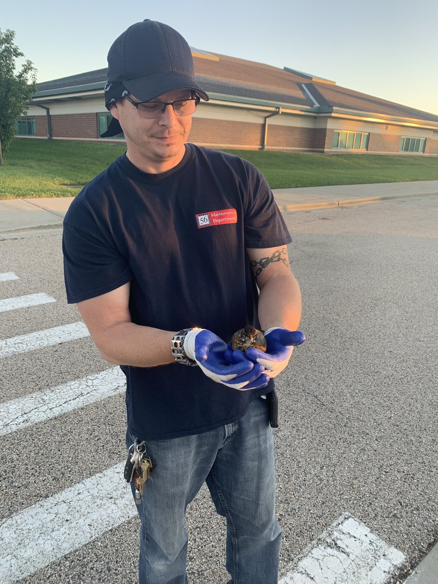 Walked into school this morning to see Mike saving this little bird! Thanks for all you do Mike! You’re amazing! #d56achieves #ptpride