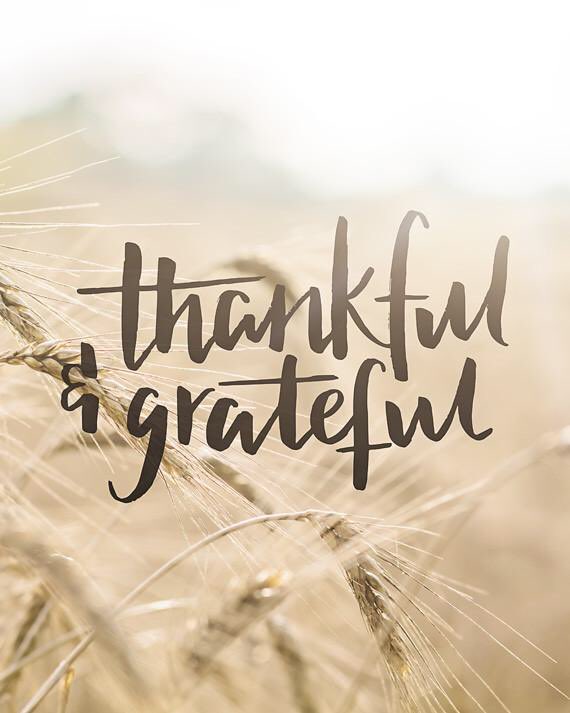 Good morning. To the employee who feels like they are thankful &amp; grateful to the person they call boss. You should be. You never know all the no’s, they’re not qualified, but what about this guy, and other opposition they had to face to get you in that job. Never forget that.