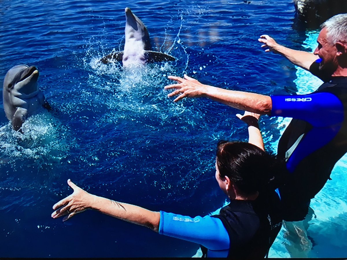 LisaHowarth18's tweet image. Ever thought of a career change?? I did today 💕🐬💕