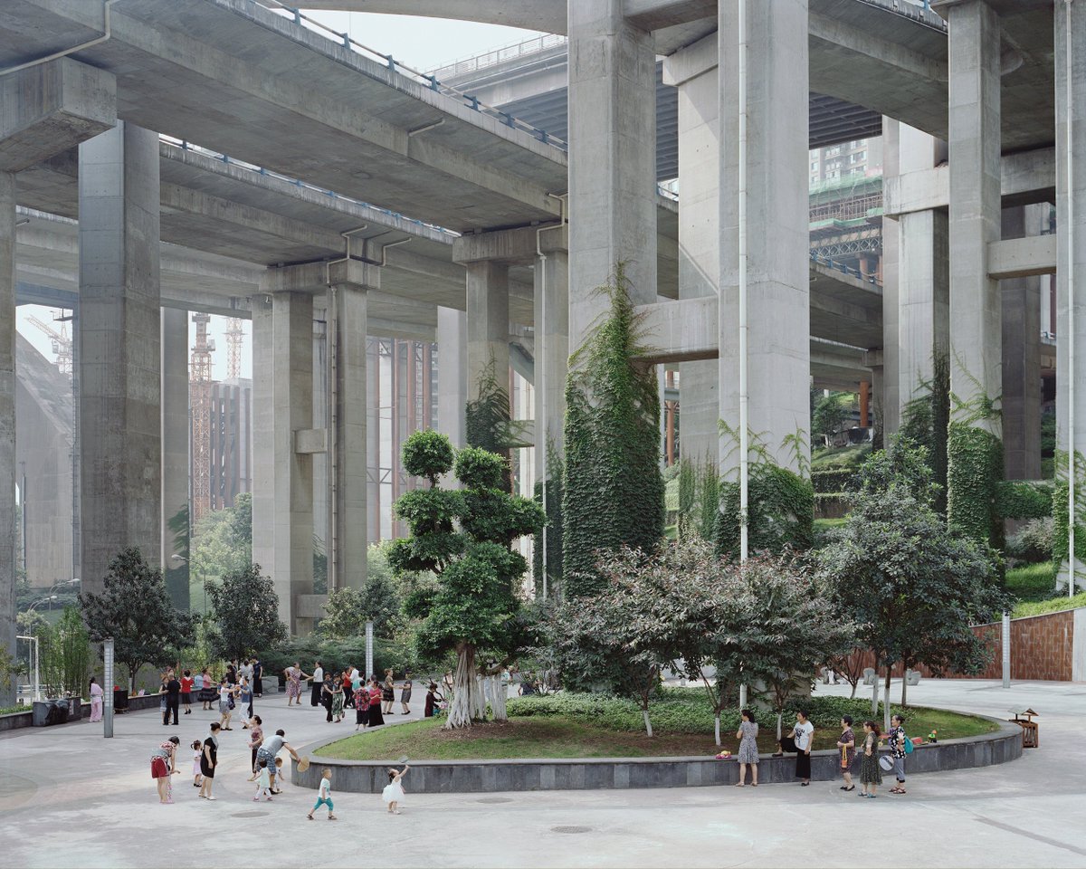 Yan Wang Preston / Forest / 2010-2017 / Yan Wang Preston spent eight years investigating the politics of recreating forests and the ‘natural’ environment in new Chinese cities / bit.ly/2ksdPeU / #photography