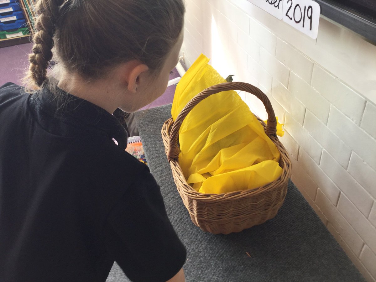 QuayYr2's tweet photo. First day back and Year 2 have found mystery baskets in their classrooms! #writinghook #talkforwriting #readytolearn #quayacademy @QuayVP https://t.co/IXHpSmlIlS