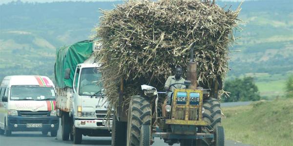 FarmbizAfrica's tweet photo. Free market far more advantageous for the sugar sector than a heavily regulated regime >https://t.co/WttKk6maTz https://t.co/1iK05XLUnH