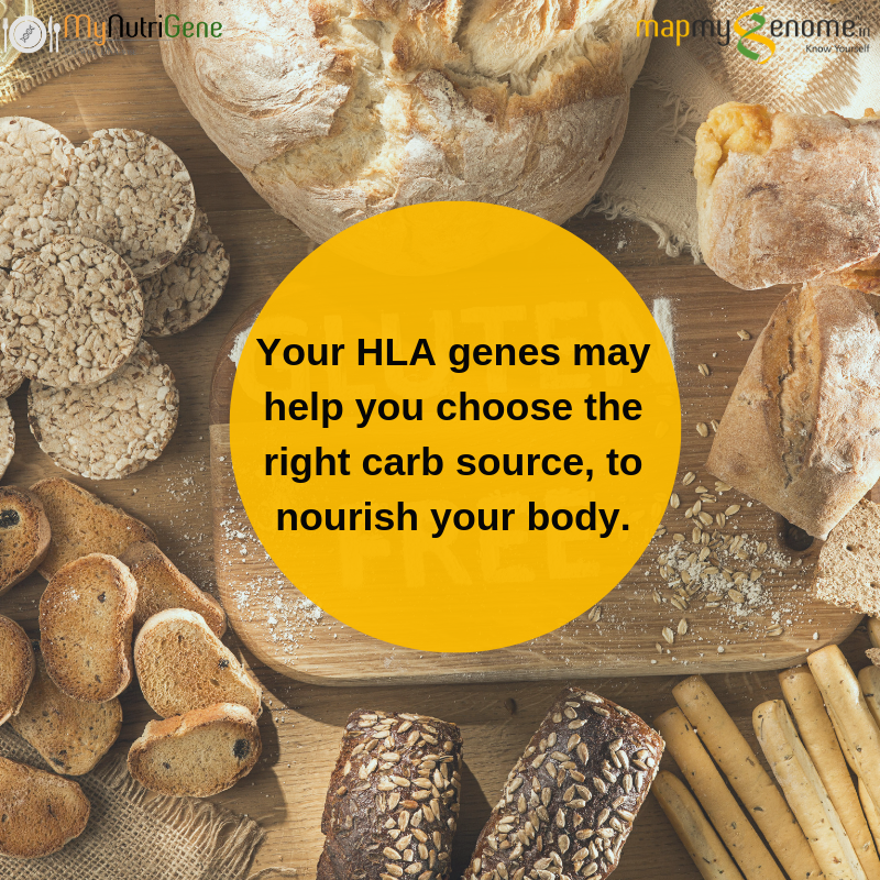 mapmygenome's tweet photo. Gluten free or grain free? Not all carbs are bad! Choose healthy carbs to fuel yourself every day, every workout. 

Get MyNutriGene to Know Yourself  - https://t.co/53xxEyqXx5 

#Mynutrigene #Mapmygenome  #Nutritionweek #NationalNutrition #Gultenfree #HealthyCarb #Carbohydrates https://t.co/Qnhr1gslEZ