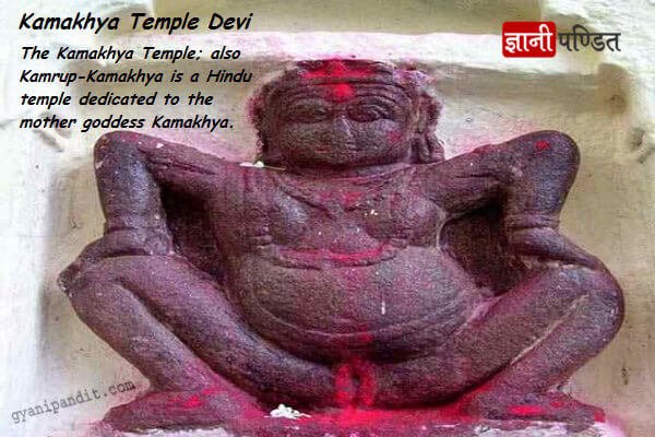gyanipanditweb's tweet photo. These are the some major points about Kamakhya Temple.
#KamakhyaTemple
#history
#majorpoints
https://t.co/121r8ssEZU https://t.co/6S6Lka3O6k
