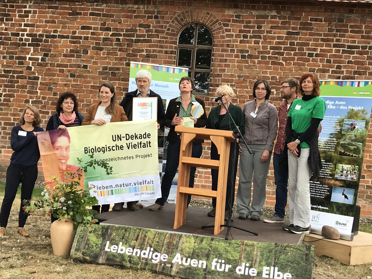 Abschluss eines tollen Projektes des BUND zur Sicherung der Auenwälder an der Hohen Garbe (Elbe). Das verbessert auch den Hochwasserschutz. Die Auszeichnung durch Frau Prof. Jessel ist mehr als verdient.#MULEdirekt