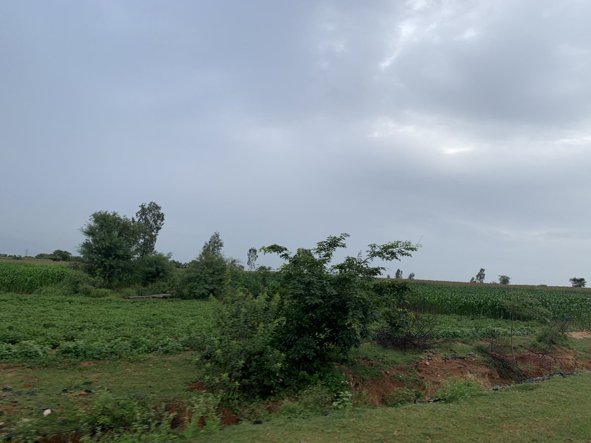 lkatheeq's tweet photo. Kudilgi taluk in Bellari district: it is lush green and beautiful with light drizzle
#ChasingRain
#RDPR
#Karnataka https://t.co/qABUu7Bd08