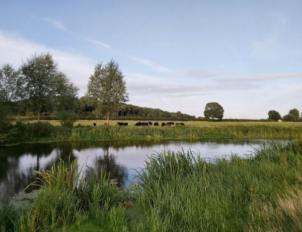 Beautiful countryside around #BradfordonAvon.. you can start to see the seasons changing #wiltshirecountryside