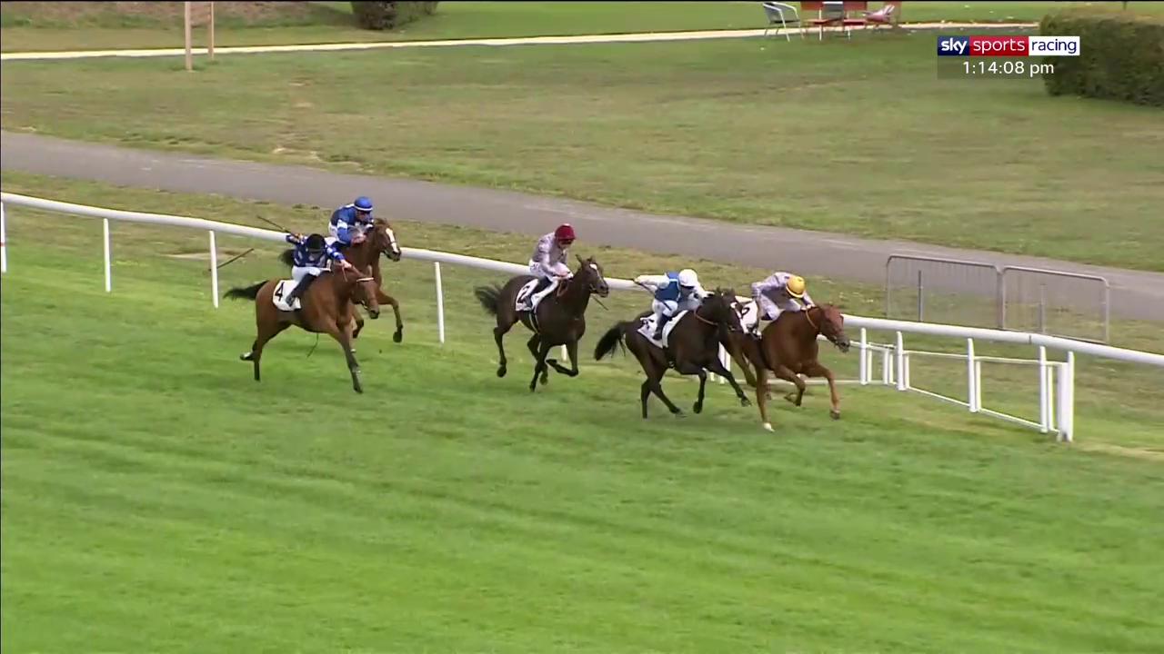 At The Races on Twitter "Blimey! You wouldn't want to be the winning