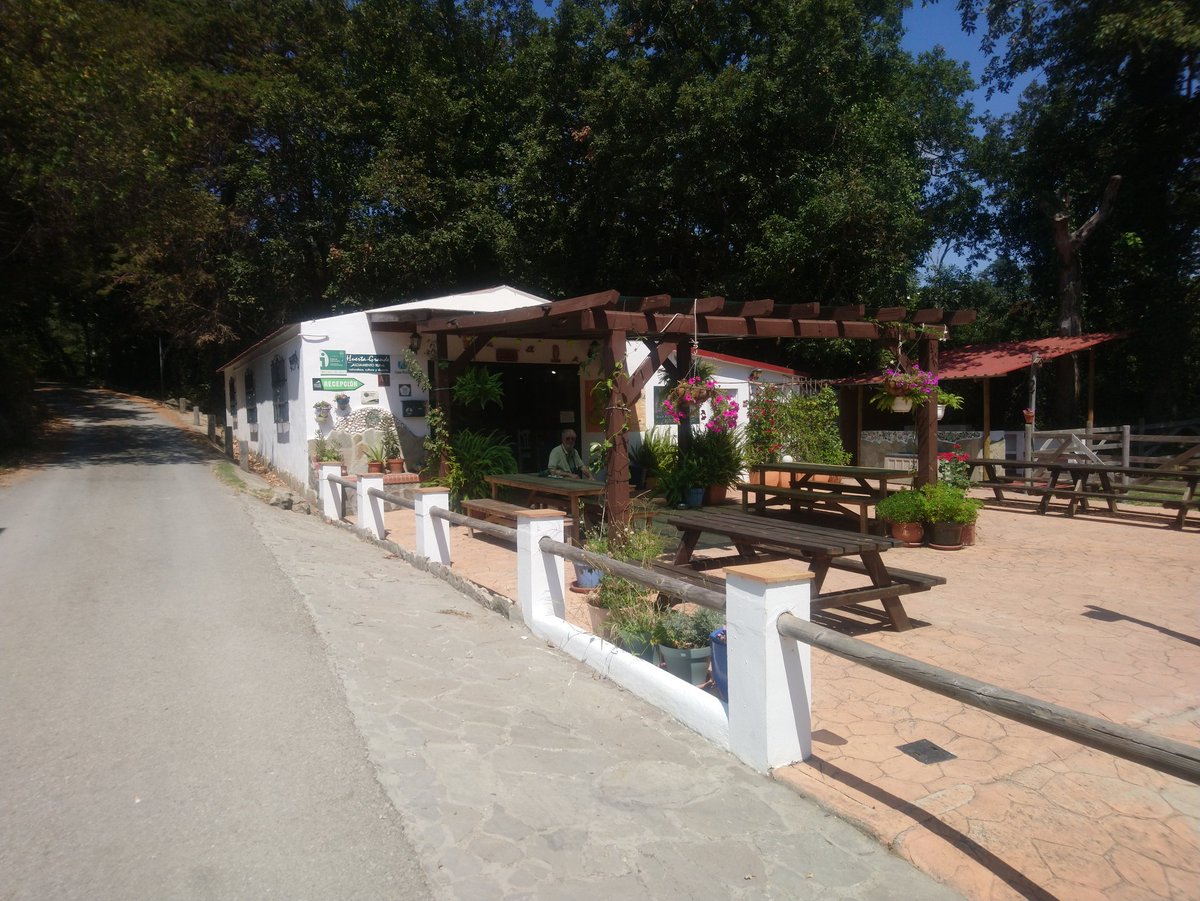 Having a coffee break at Huerte Grande one of my favourite places on the strait of Gibraltar. Great place & very supportive of birds & birding @Huerta_Grande