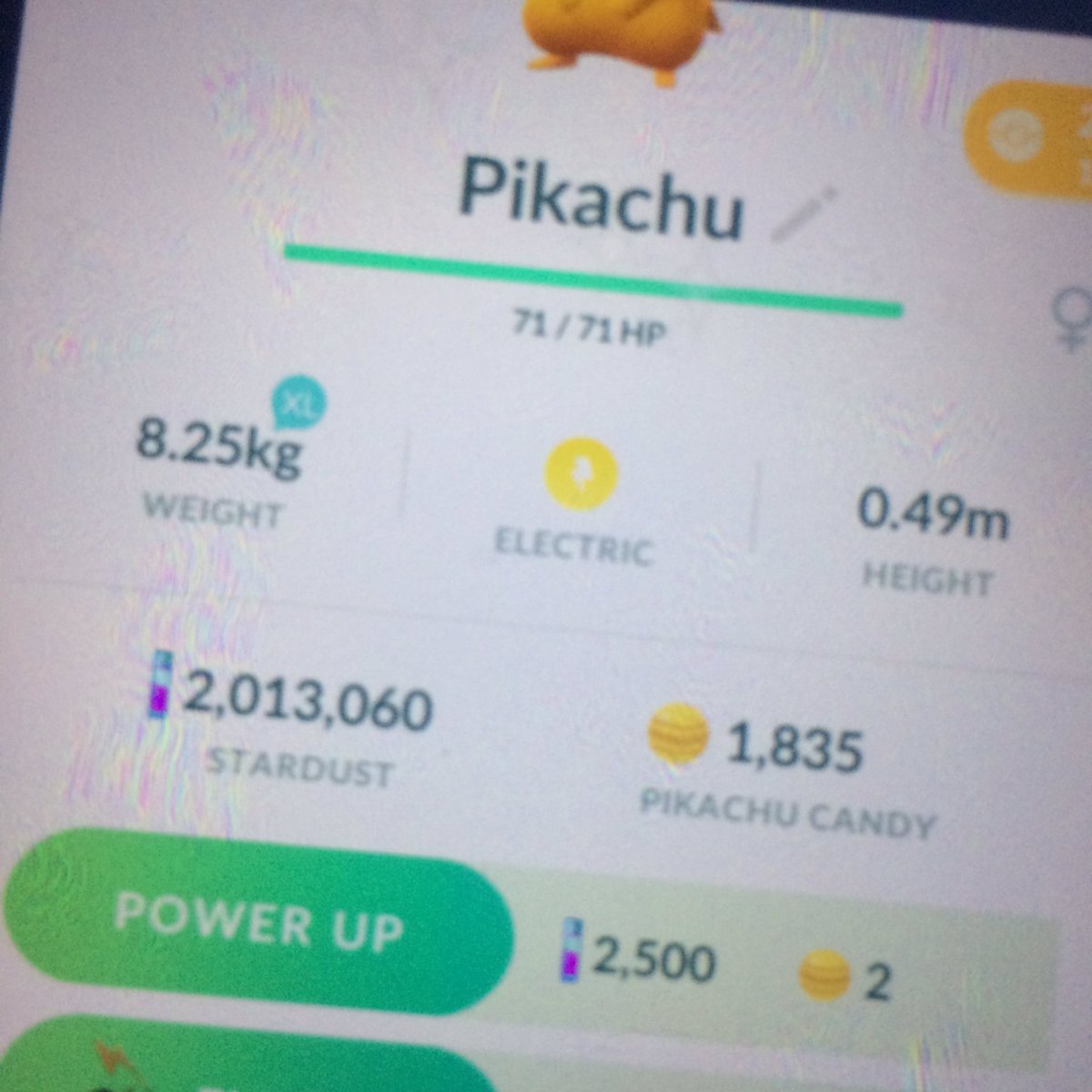 PereiraFC's tweet image. Quando você gosta de abacaxi./When you like Pinap Berry. #pokemongo #pokemon #pinapberry #niantic #candy #doublecandy