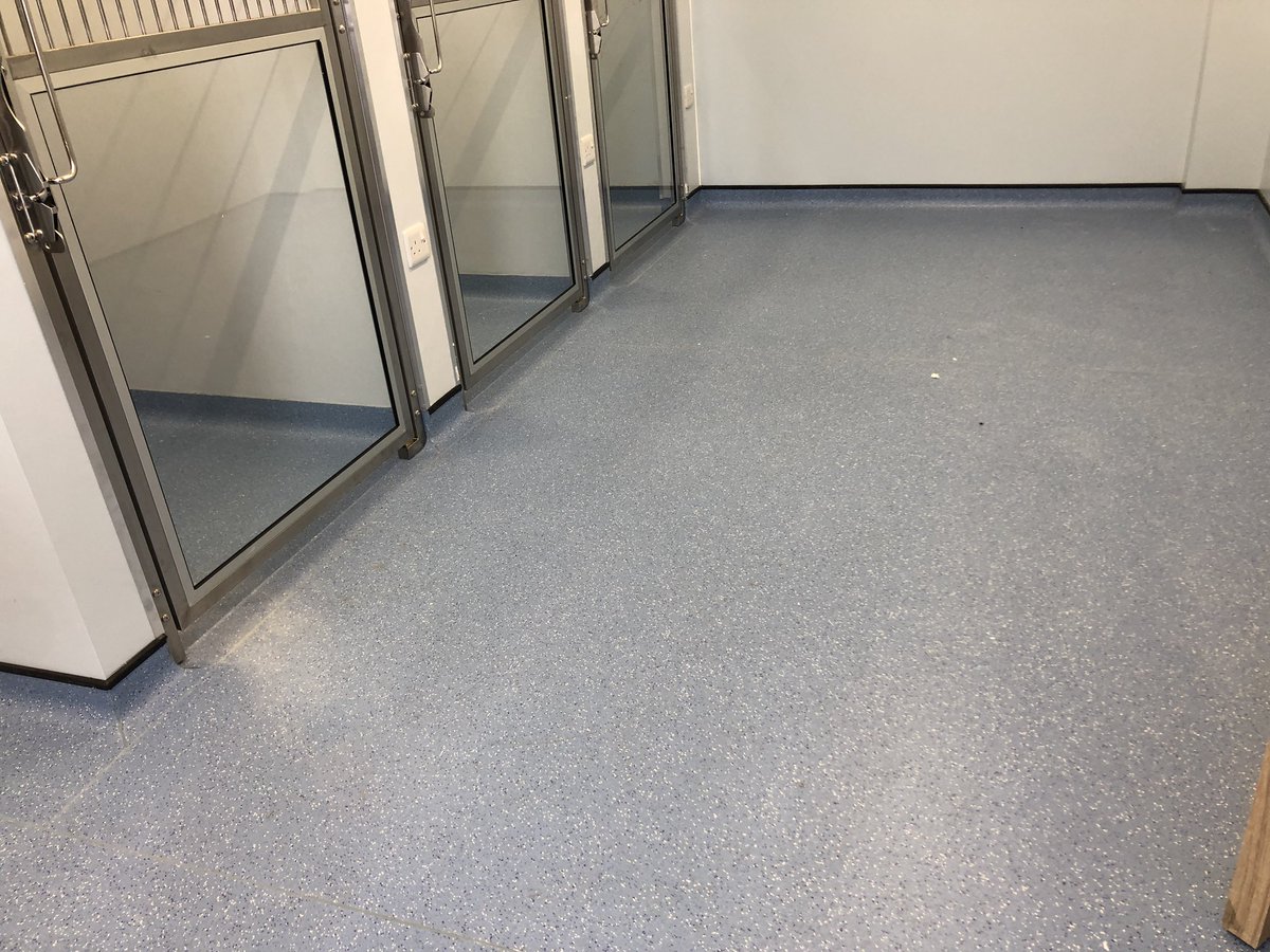 M2Flooring's tweet image. New vets kennel rooms completed including wall vinyls.