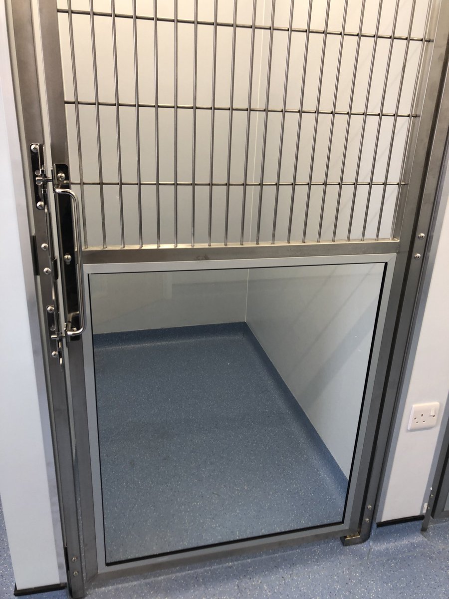 M2Flooring's tweet image. New vets kennel rooms completed including wall vinyls.