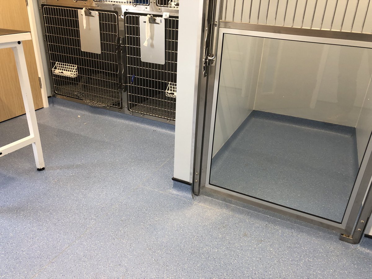 M2Flooring's tweet image. New vets kennel rooms completed including wall vinyls.