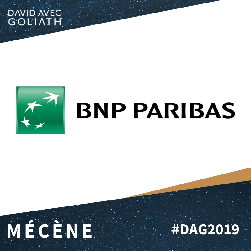 DavidAGoliath's tweet photo. ✨ Un grand merci à 
@BNPParibas
 de soutenir, depuis trois ans, l’initiative #DavidAvecGoliath et d’être à nos côtés pour cette nouvelle édition #DAG2019 🚀 https://t.co/qL46n54n5k