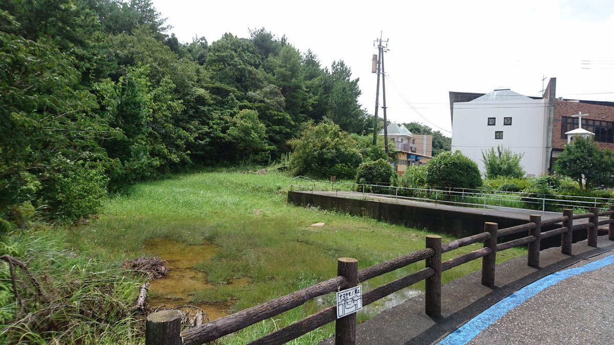 8a 84 Twitter Search