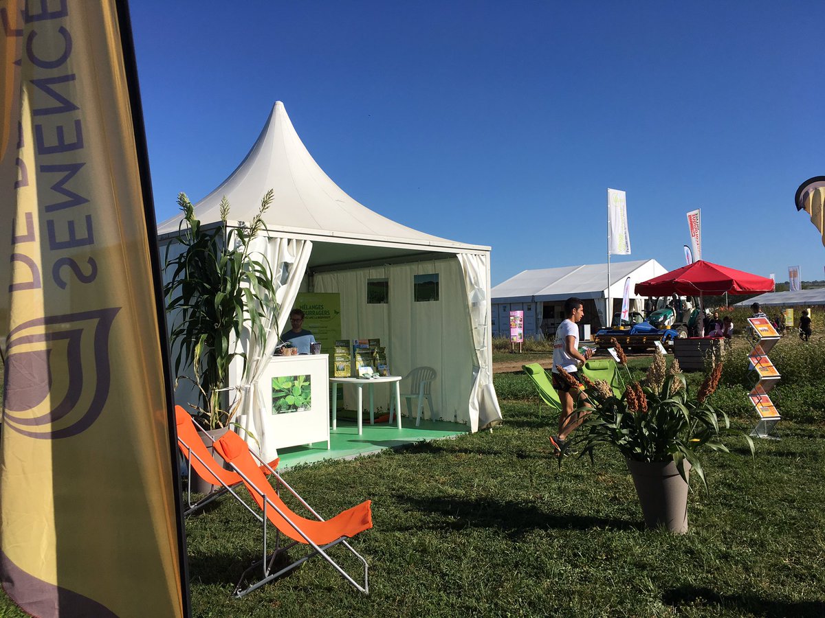 Deux transats au milieu de nos produits #sorgho #enherbements #engraisverts Ils sont à votre disposition pour une petite séquence repos, avec rafraîchissement. <a href="/SemProvence/">Semences de Provence</a> Stand C04
