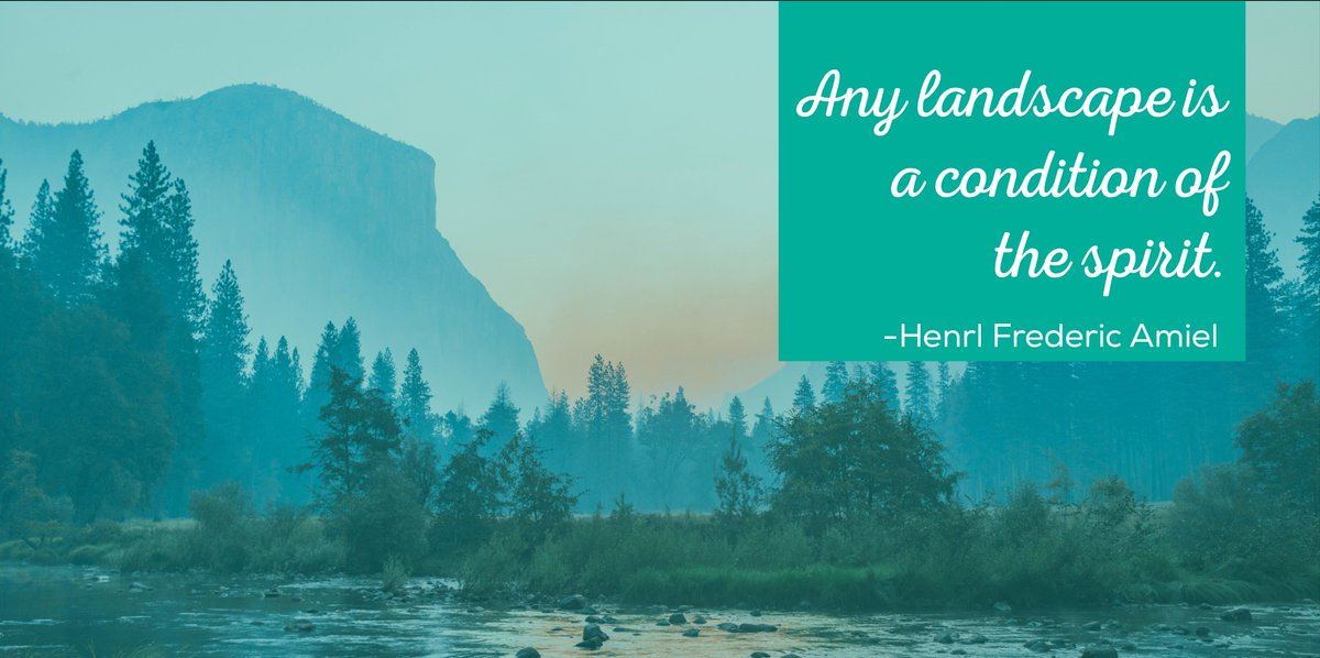 Edvergent Learning tweet media