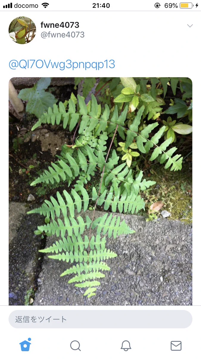 植物に詳しい悟空が出現した結果？さらに植物に詳しいべジータが出現したwww