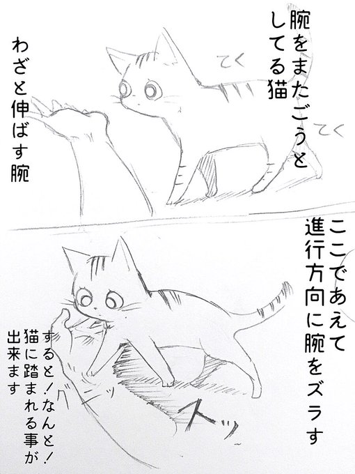 能動的ではなく
受動的に猫にふれたい…

#煮干出汁の落書き漫画 